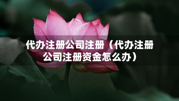 代办注册公司注册（代办注册公司注册资金怎么办）