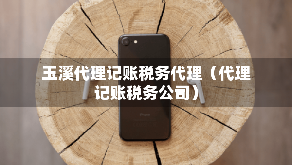 玉溪代理记账税务代理（代理记账税务公司）