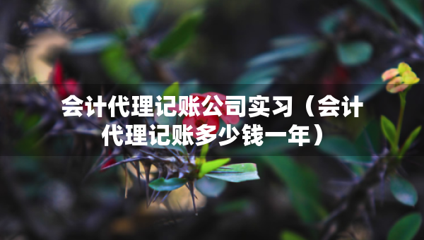 会计代理记账公司实习（会计代理记账多少钱一年）
