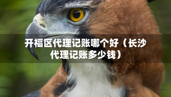 开福区代理记账哪个好（长沙代理记账多少钱）