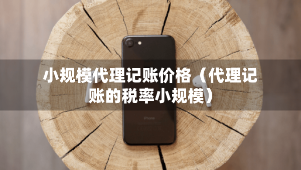 小规模代理记账价格（代理记账的税率小规模）