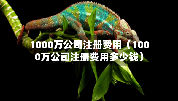 1000万公司注册费用（1000万公司注册费用多少钱）