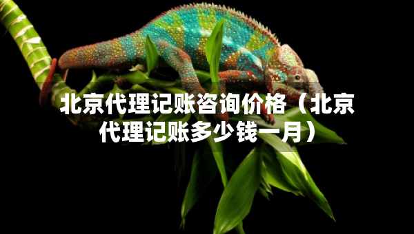 北京代理记账咨询价格（北京代理记账多少钱一月）