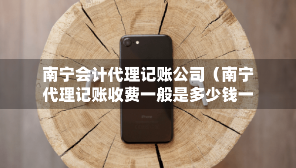 南宁会计代理记账公司（南宁代理记账收费一般是多少钱一个月?）