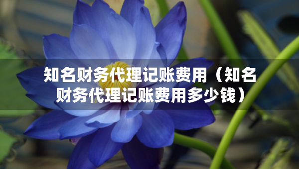 知名财务代理记账费用(知名财务代理记账费用多少钱) 知名财务代理记账费用(知名财务代理记账费用多少钱)