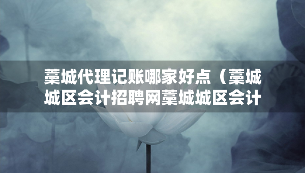 藁城代理记账哪家好点（藁城城区会计招聘网藁城城区会计师招聘信息）