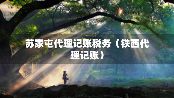 苏家屯代理记账税务（铁西代理记账）