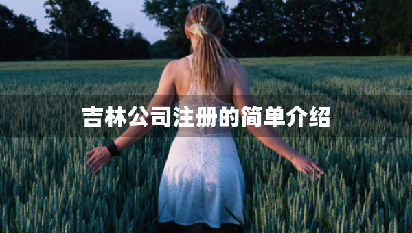 吉林公司注册的简单介绍