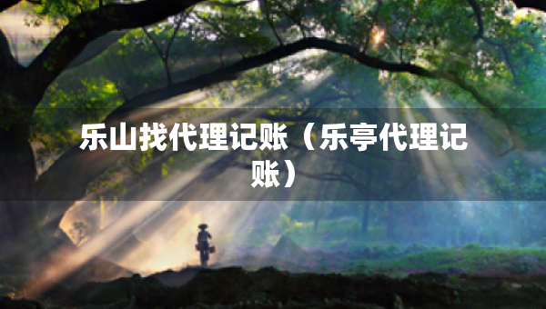 乐山找代理记账（乐亭代理记账）