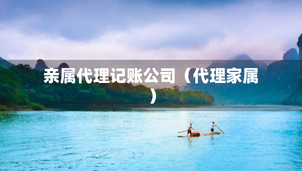 亲属代理记账公司（代理家属）