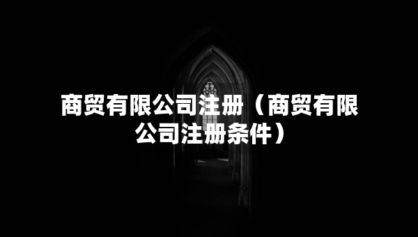 商贸有限公司注册（商贸有限公司注册条件）
