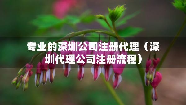 专业的深圳公司注册代理（深圳代理公司注册流程）