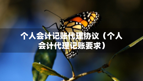 个人会计记账代理协议（个人会计代理记账要求）