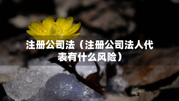 注册公司法（注册公司法人代表有什么风险）