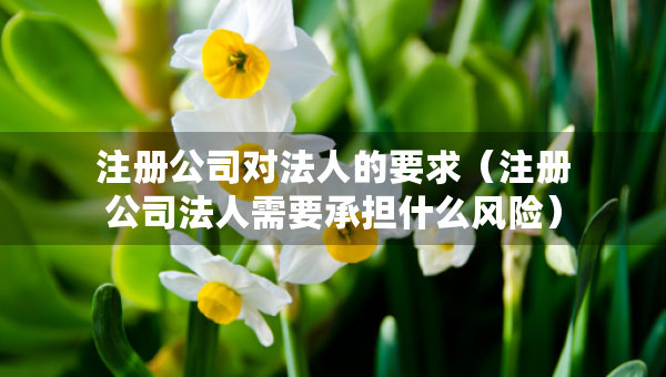 注册公司对法人的要求（注册公司法人需要承担什么风险）