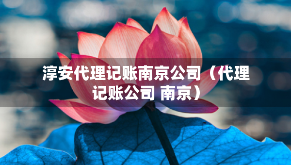 淳安代理记账南京公司（代理记账公司 南京）