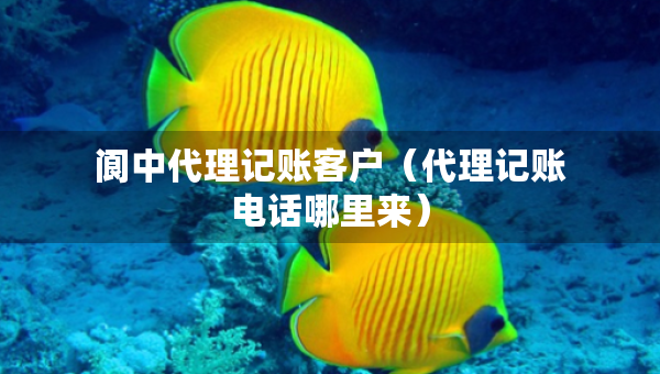 阆中代理记账客户（代理记账电话哪里来）