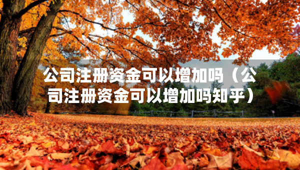 公司注册资金可以增加吗（公司注册资金可以增加吗知乎）