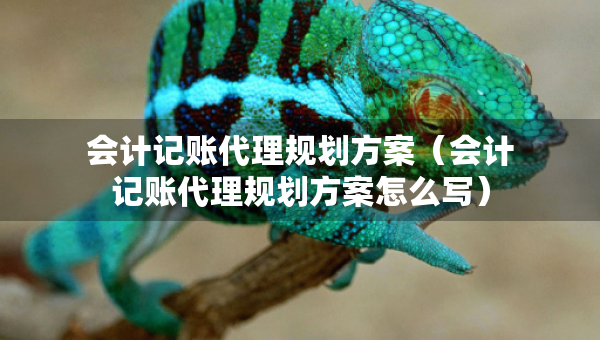 会计记账代理规划方案（会计记账代理规划方案怎么写）