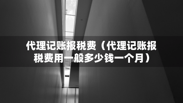 代理记账报税费（代理记账报税费用一般多少钱一个月）