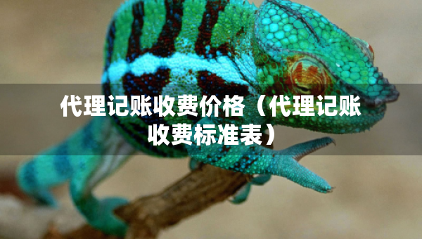 代理记账收费价格（代理记账收费标准表）