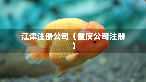 江津注册公司（重庆公司注册）