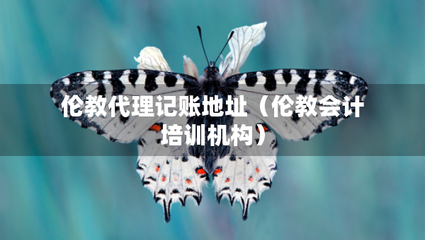 伦教代理记账地址（伦教会计培训机构）