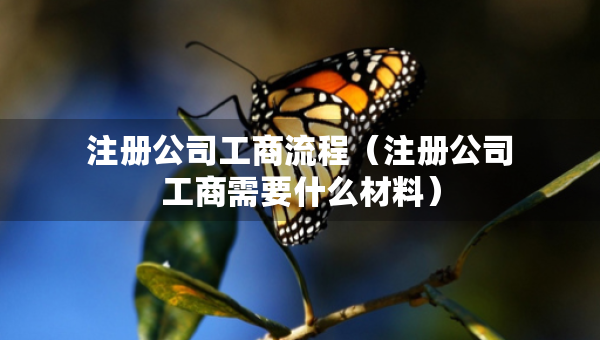 注册公司工商流程（注册公司工商需要什么材料）