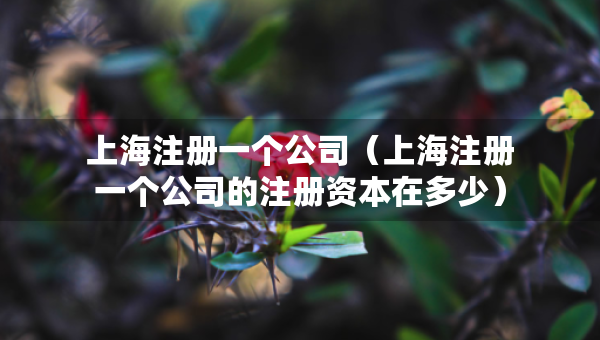 上海注册一个公司（上海注册一个公司的注册资本在多少）