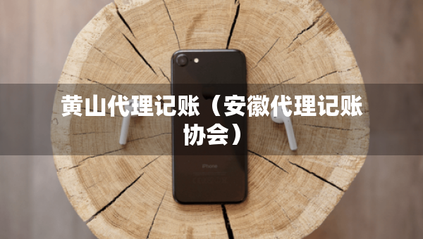 黄山代理记账（安徽代理记账协会）