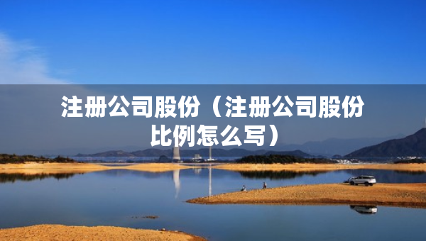 注册公司股份（注册公司股份比例怎么写）