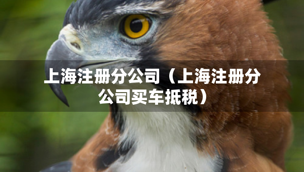 上海注册分公司（上海注册分公司买车抵税）