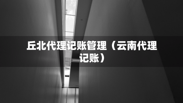 丘北代理记账管理（云南代理记账）