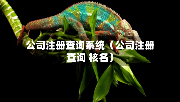 公司注册查询系统（公司注册查询 核名）