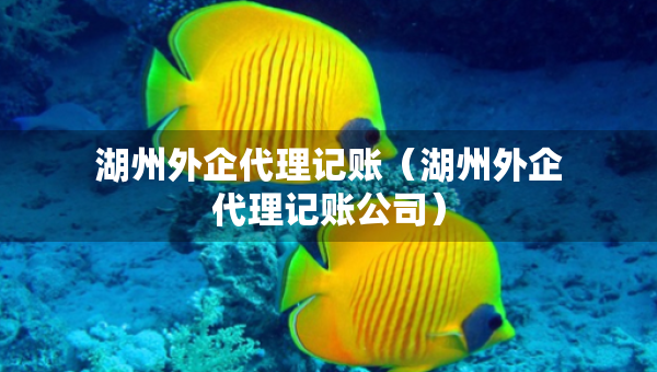 湖州外企代理记账（湖州外企代理记账公司）