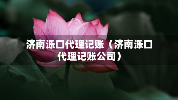 济南泺口代理记账（济南泺口代理记账公司）