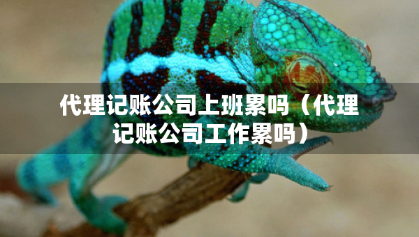 代理记账公司上班累吗（代理记账公司工作累吗）