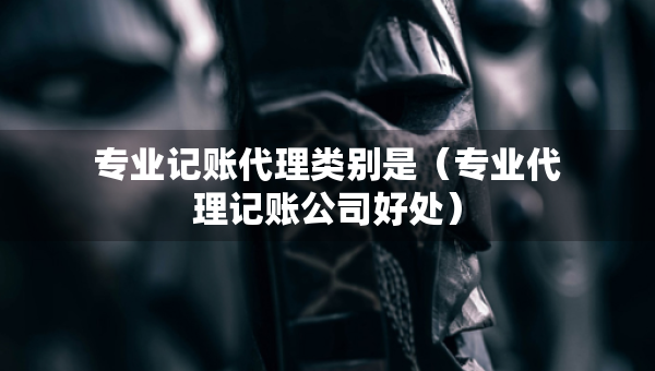 专业记账代理类别是（专业代理记账公司好处）