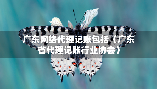 广东网络代理记账包括(广东省代理记账行业协会) 广东网络代理记账包括(广东省代理记账行业协会)