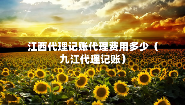 江西代理记账代理费用多少（九江代理记账）