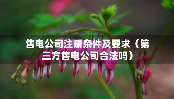售电公司注册条件及要求（第三方售电公司合法吗）