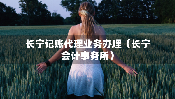 长宁记账代理业务办理（长宁会计事务所）