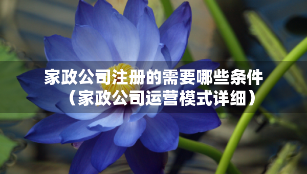 家政公司注册的需要哪些条件（家政公司运营模式详细）