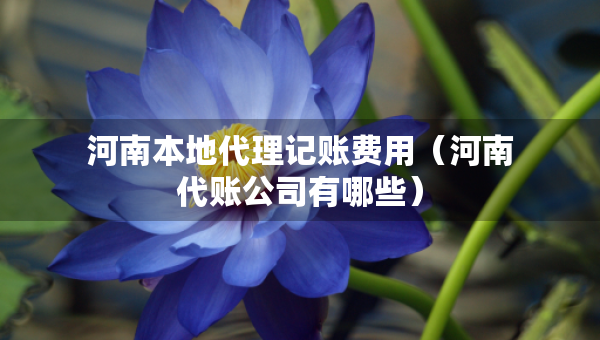河南本地代理记账费用（河南代账公司有哪些）