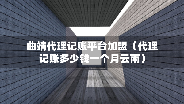 曲靖代理记账平台加盟（代理记账多少钱一个月云南）