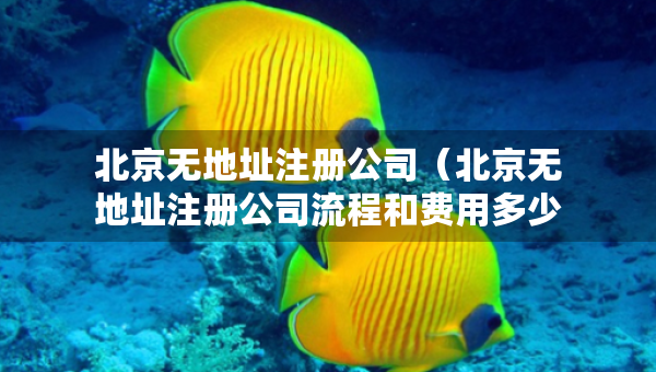 北京无地址注册公司（北京无地址注册公司流程和费用多少）