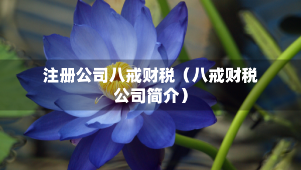 注册公司八戒财税（八戒财税公司简介）