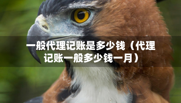 一般代理记账是多少钱(代理记账一般多少钱一月) 一般代理记账是多少钱(代理记账一般多少钱一月)