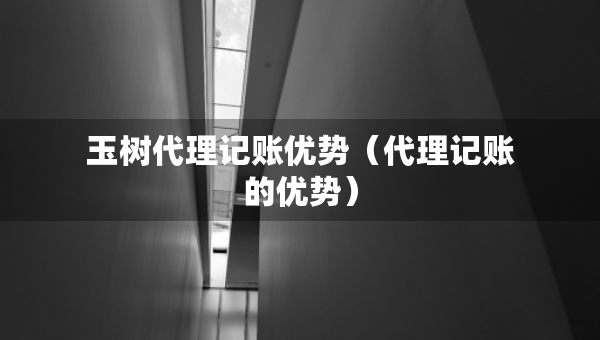 玉树代理记账优势（代理记账的优势）