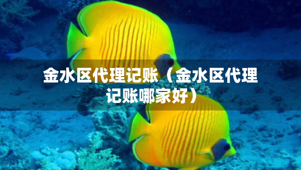 金水区代理记账（金水区代理记账哪家好）